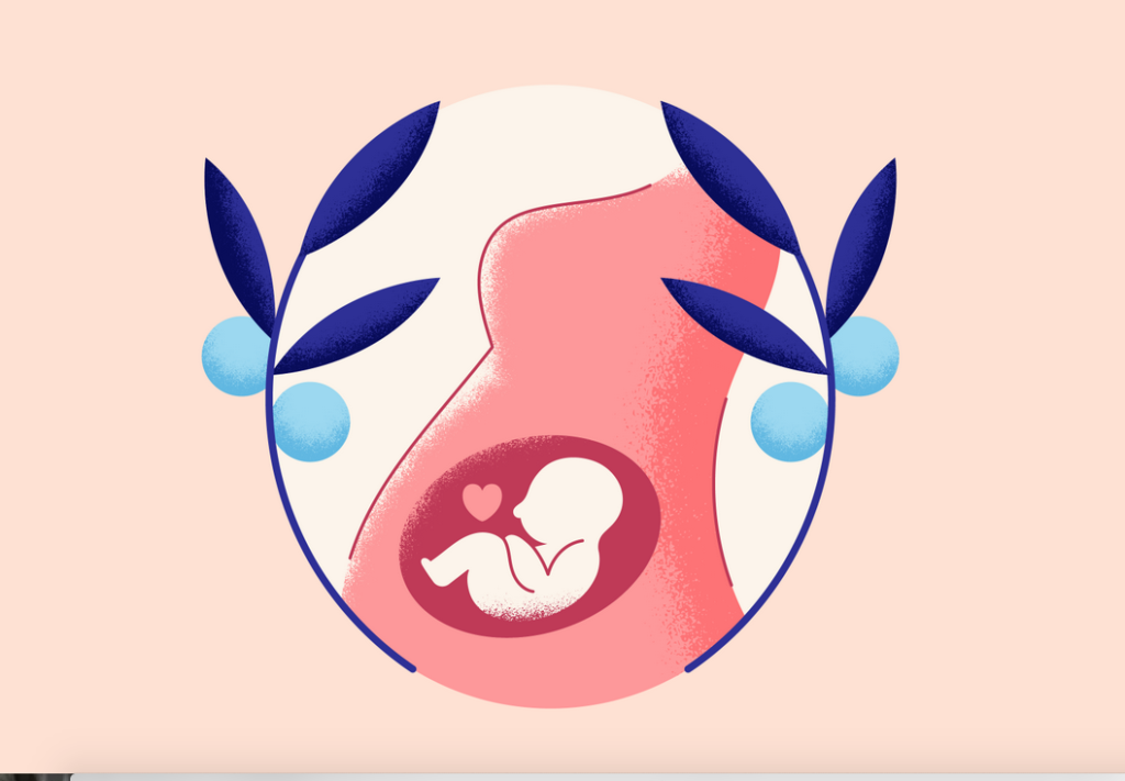 A three-month-old baby is developing in the womb.
