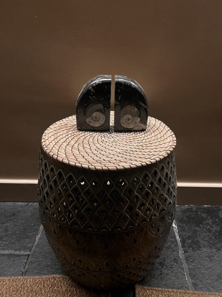 A pair of ancient ammonite fossil bookends at Asiatic Thai Massage symbolise the internal architecture and timeless wisdom of our somatic bodywork.