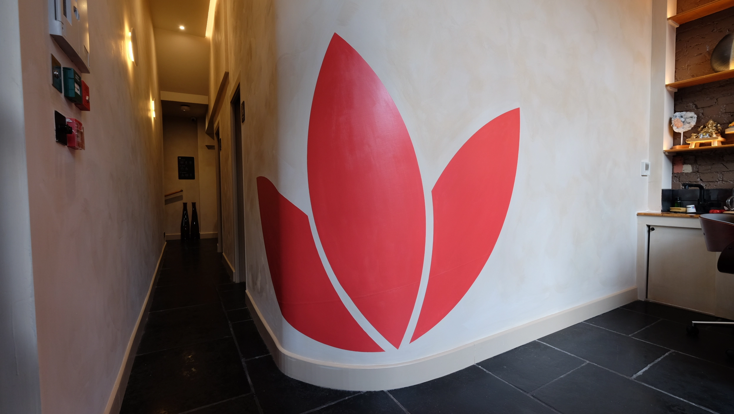asiatic-lotus-feature-wall-upper-street
